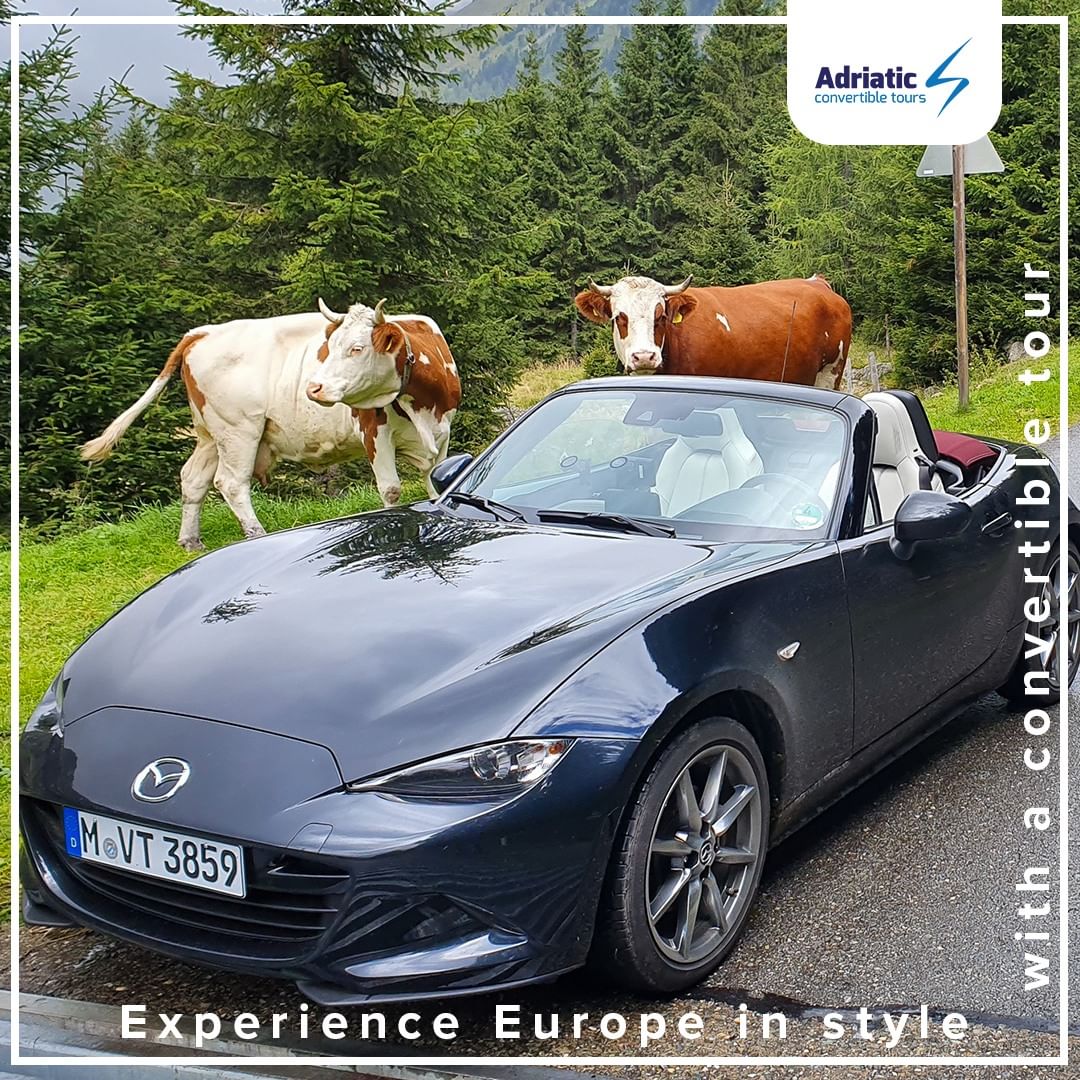 🌄 Alps Deluxe: Peaks & Culture | June 29 - July 13, 2024 🗺️

Experience Europe's diverse cultures and breathtaking landscapes on the "Alps Deluxe" tour. For skilled drivers seeking adventure, this is your journey. From alpine heights to coastal beauty, it blends excitement and relaxation. Limited spots, secure your spot now! 🚙🏞️
.
.
#europe #tour #convertible #tourist #europetravel #europe_vacations #adriaticsea #traveleurope #adriatic #touristattraction #visiteurope #europeanstyle #discovereurope #europe_vacation #europeanarchitecture #europeanculture #convertibletours #adriaticconvertibletours #europeantours #travelinstyle #adventureawaits #convertibletours #roadtrips #travelmore #experiencelife #croatia #alps