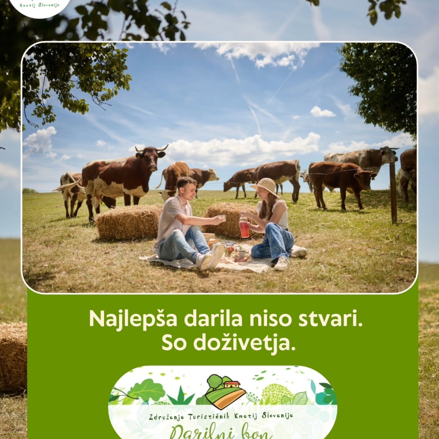 Ne veste, kaj podariti ljubljeni osebi za darilo? 🎁Pri nas najdete nekaj posebnega – darilni bon turističnih kmetij, ki se ji bo zagotovo za vedno vtisnil v srce 💝.

Bon lahko koristite za super doživetja na kmetijah, kot:

✨️ Bivanje na podeželju 🏡
✨️ Okusna lokalna kulinarika 🍽️
✨️ Aktivnosti na kmetiji (jahanje 🐎, najem koles 🚴, zakup savne in jaccuzija 🛁 in še veliko drugih aktivnosti)
✨️ Nakup domačih izdelkov 🛒🍯

Darilni bon lahko naročite na povezavi v našem bio opisu 😊.

Fotograf: T. Jeseničnik/arhiv ZTKS.

#podeželje #kmetija #darilnibon